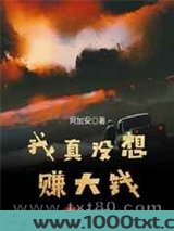 我真没想赚大钱图片