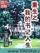 重生之我的书记人生图片