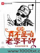 亮剑：真不是咱老李干的图片