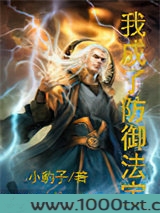 我成了防御法宝图片