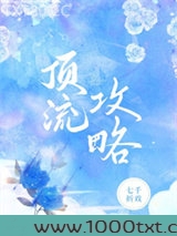 顶流攻略