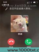 虐文霸总穿成女主的仓鼠后图片