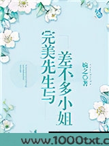 完美先生与差不多小姐图片