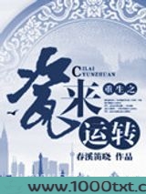 重生之瓷来运转
