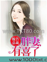 报告总裁，胖妻有喜了图片