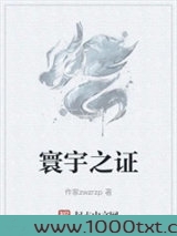 寰宇之证