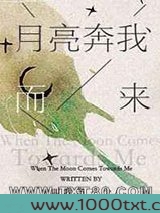 月亮奔我而来