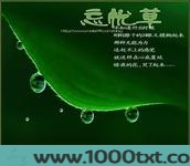 深海忘忧草
