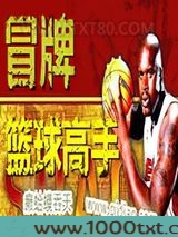 冒牌篮球高手