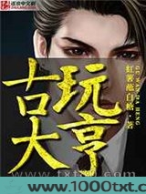 古玩大亨图片