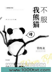 我熊猫不服图片