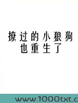 撩过的小狼狗也重生了