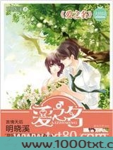 爱之名(出书版)图片