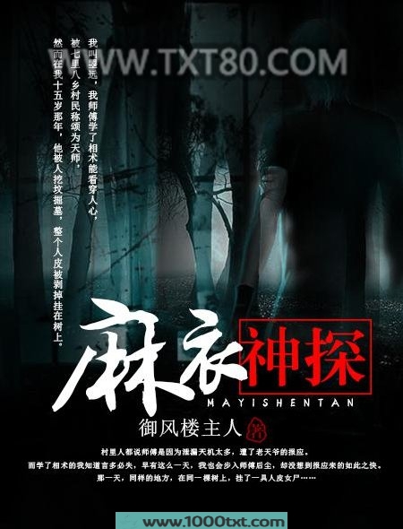 麻衣神探图片