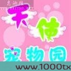 盛世军婚图片