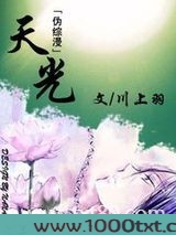 天光(伪综漫)图片