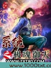 系统之极魂御天