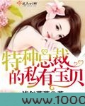 特种总裁的私有宝贝图片