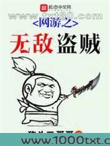 网游之无敌盗贼图片