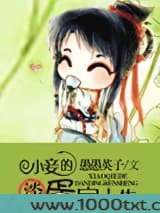 小妾的淡定人生图片