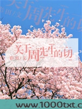 关于周先生的一切