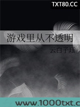 游戏里从不透明图片
