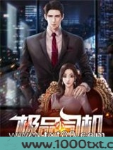 极品小司机图片