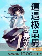 遭遇极品男
