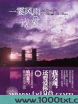 一霎风雨我爱过你(出书版)图片