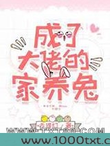 成了大佬的家养兔图片