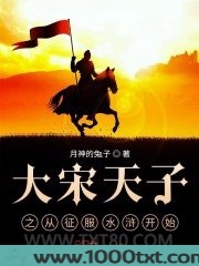 大宋天子之从征服水浒开始图片