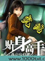 贴身高手图片
