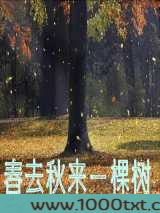 春去秋来一棵树图片