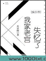 我家老宫失忆了［娱乐圈］