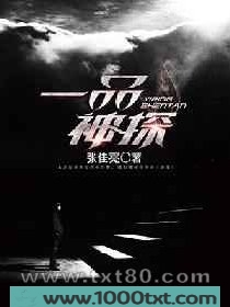 一品神探图片