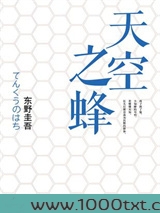 天空之蜂