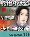 转世小太监之乱世称雄图片