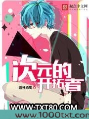 次元的开拓者