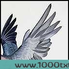 绮恋吸血爱人图片