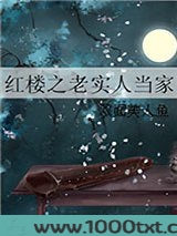 红楼之老实人当家图片