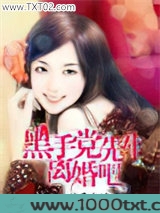 黑手党先生，离婚吧图片
