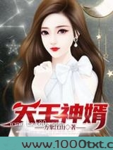 天王神婿图片