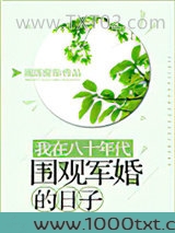 我在八十年代围观军婚的日子