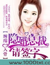 爱你入骨，隐婚总裁请签字