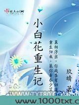 小白花重生记