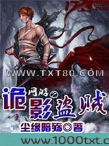 网游之诡影盗贼图片