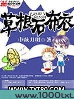 草根石布衣图片