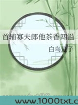 首辅寡夫郎他茶香四溢
