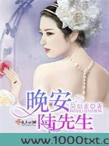 晚安，陆先生