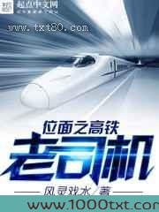 位面之高铁老司机图片